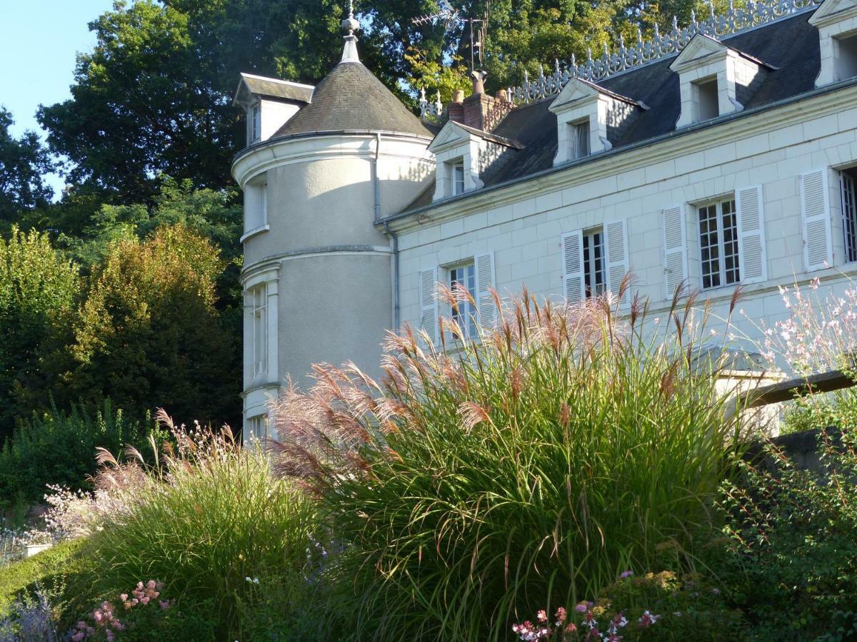 Athée-sur-Cher Manoir De La Vigneraie B&B 외부 사진
