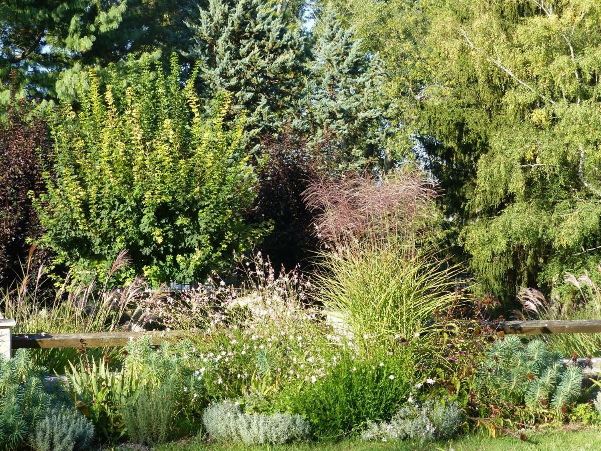 Athée-sur-Cher Manoir De La Vigneraie B&B 외부 사진